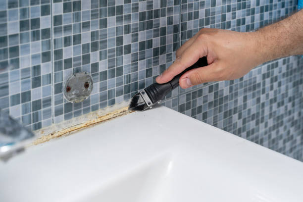 Best Mold Remediation  in Quitman, MS